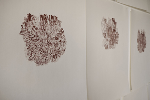 expositions | je-me-souviens | &copy; patrice de Santa Coloma